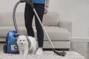 carpet pee cleaning